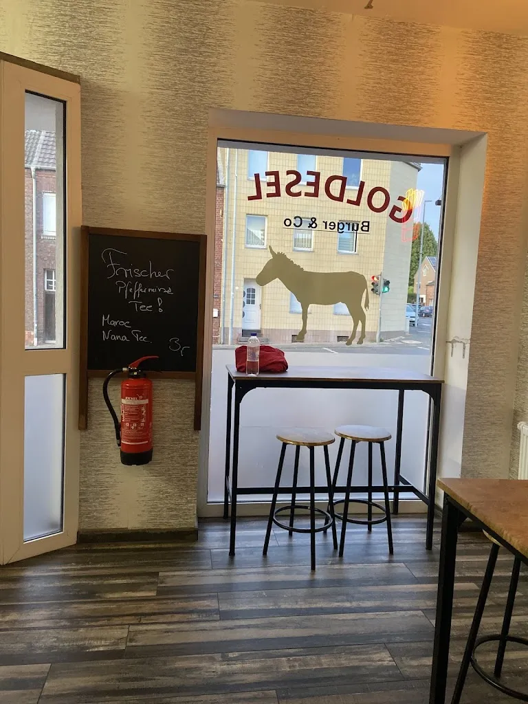 Stefania Carro_Goldesel_Elsdorf_Bewertung