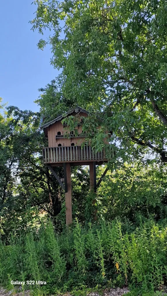 Valentina Rudolf_Berggasthof „Zur schönen Aussicht“_Bogen_review