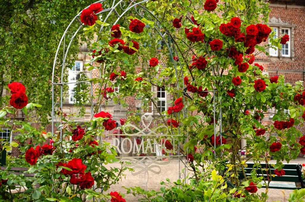 Restaurant Romance am Schloss-Erbhof_Thedinghausen_slider_image_3