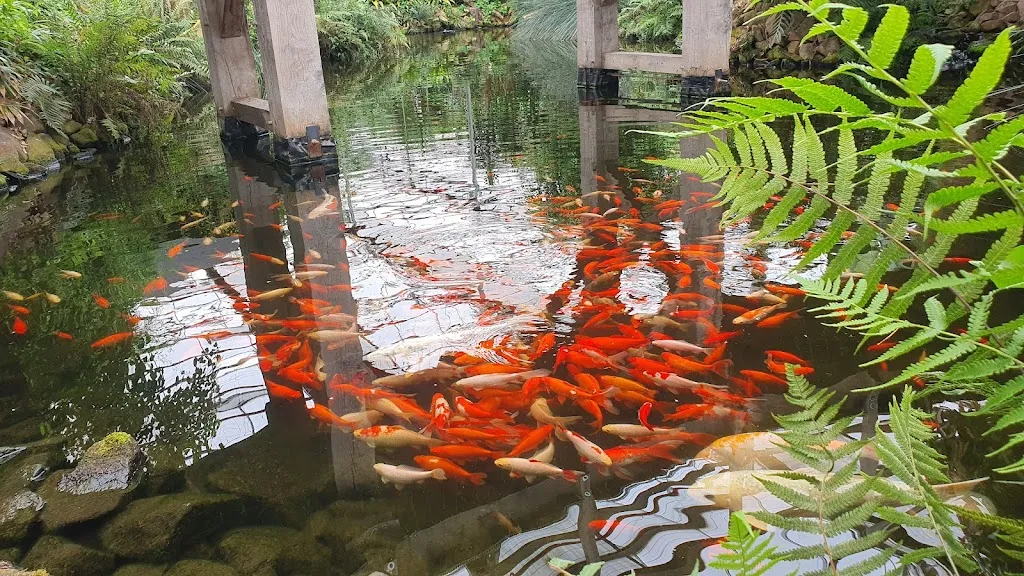 Gaststätte Emsflower_Emsbüren_slider_image_3