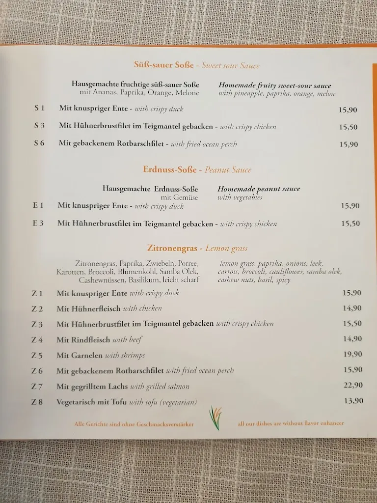 Menu_Tâm Tâm curry_Einbeck_image_3