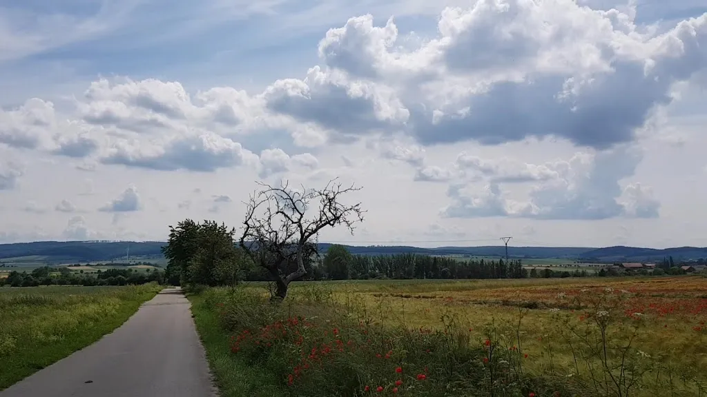 Landgasthaus Zum Klapperturm restaurant in Einbeck