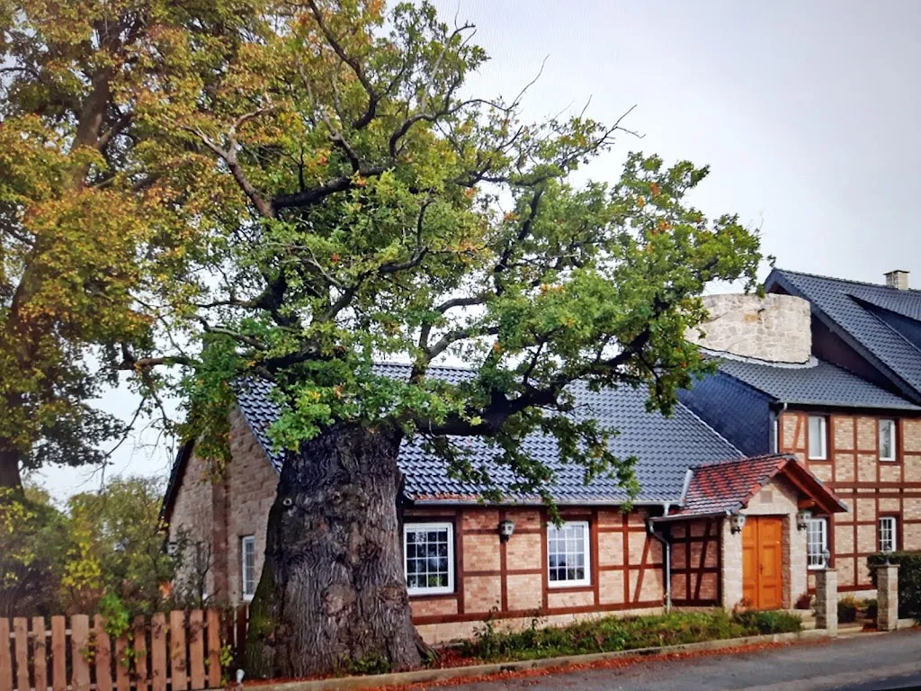 Hans Rese restaurant in Einbeck