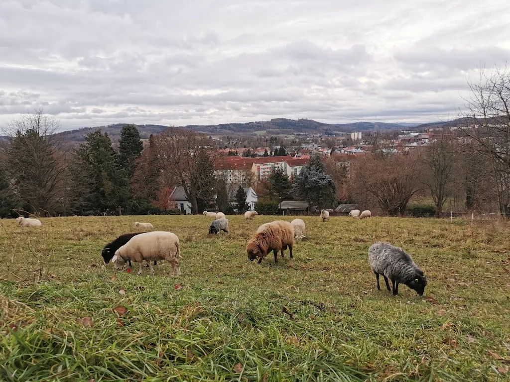 Helmerts Restaurant_Flöha_slider_image_2