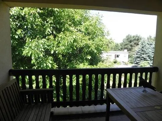 Gasthaus Schwielochsee ristorante a Friedland