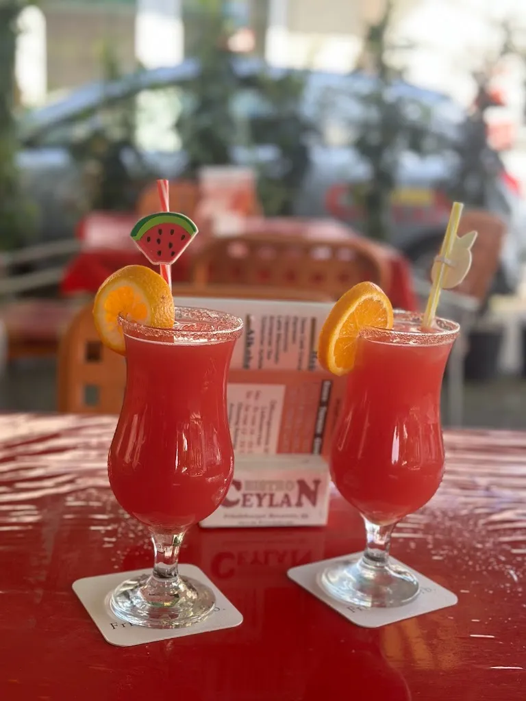 Menu_Bistro Ceylan Friedeburg_Friedeburg_image_4