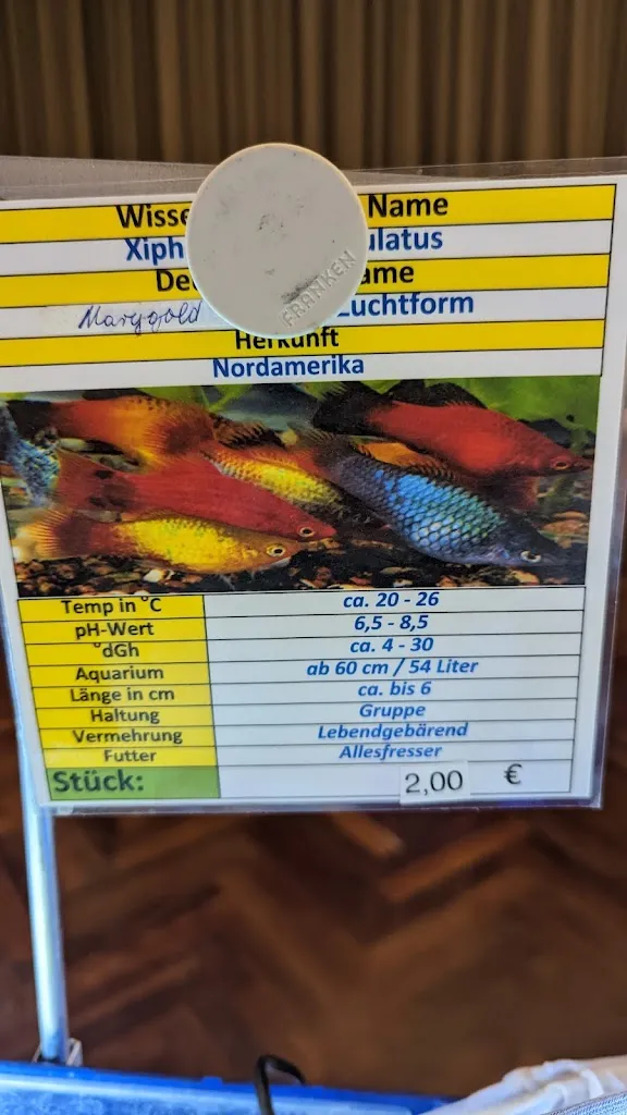 Menu_OASE - Gorch-Fock-Haus_Wilhelmshaven_immagine_3