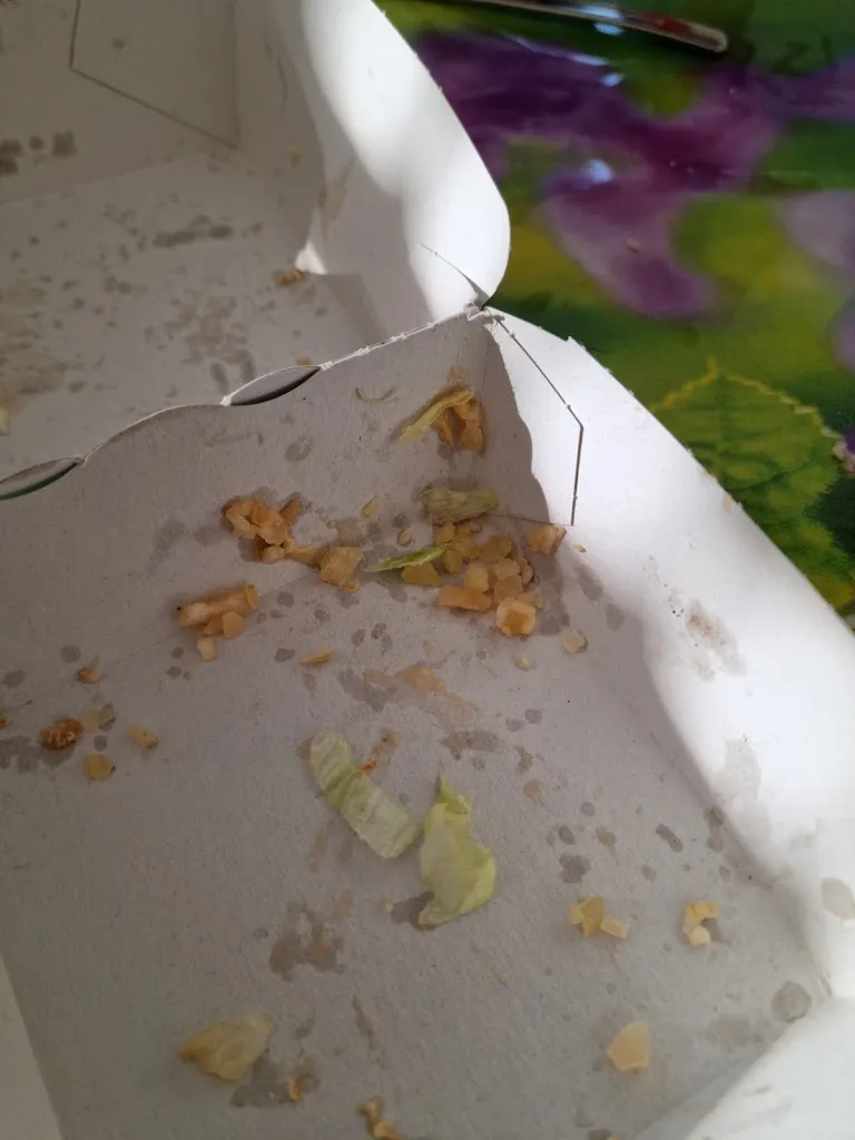 Menü_McDonald's_Fürstenau_Bild_4