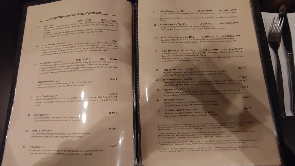 Menu_Restaurant Habana_Essen_immagine_2
