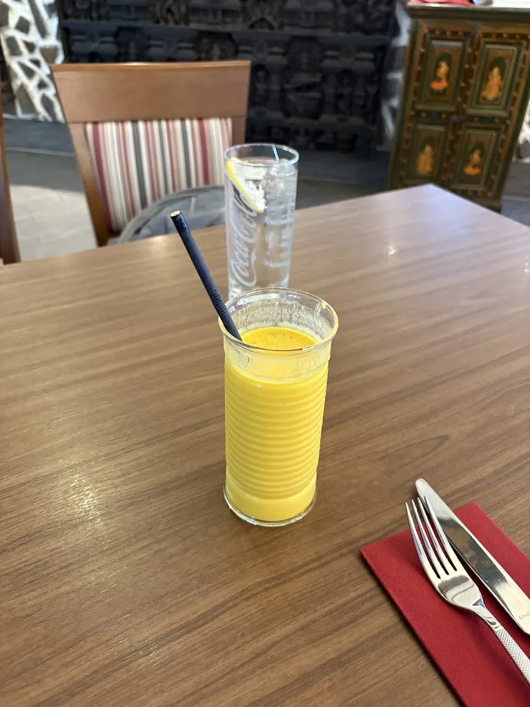 T. K._Jaipur_Breisgau_review