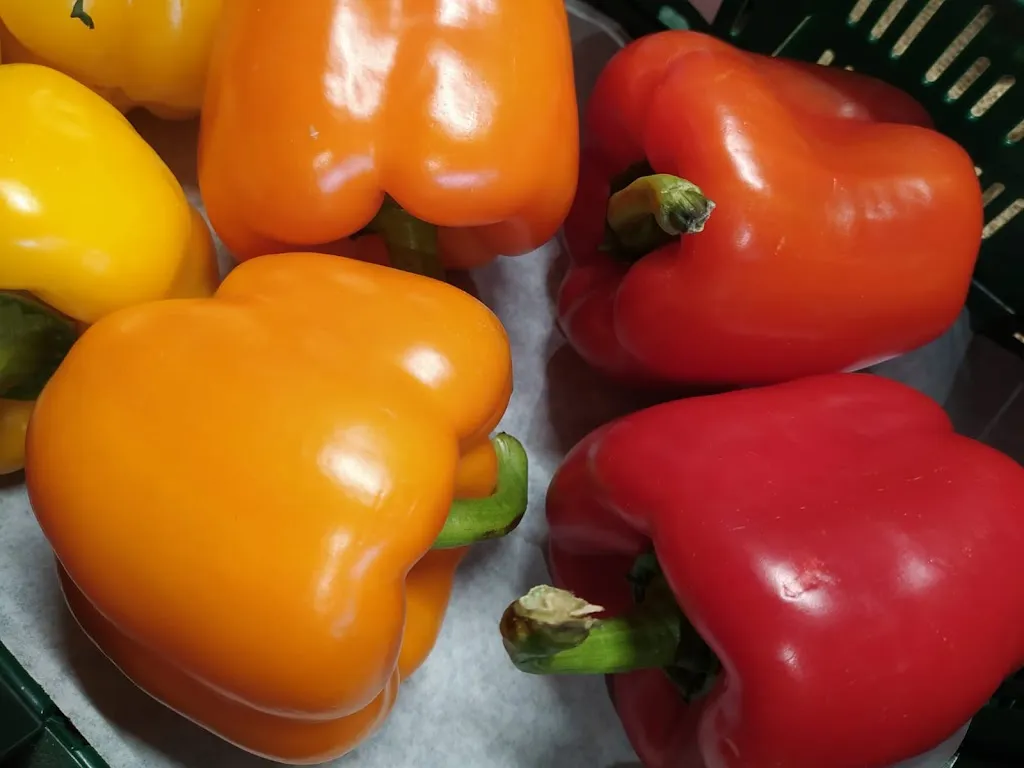 Menu_Restaurant König's Tafelhuus_Garrel_image_6