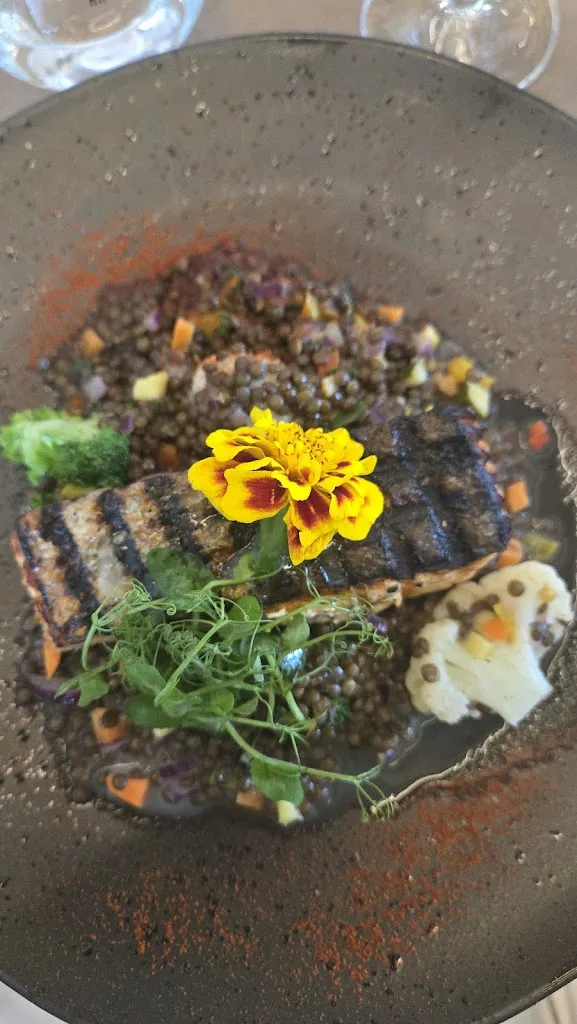 Mahsa Al_KNOSSOS_Gießen_review