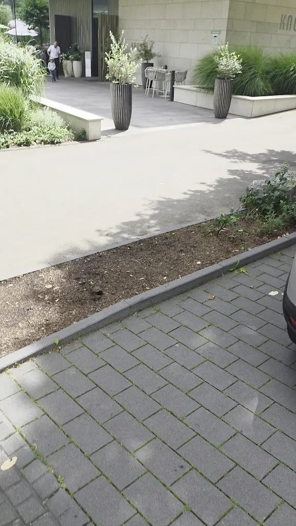 Tim Stone_KNOSSOS_Gießen_review