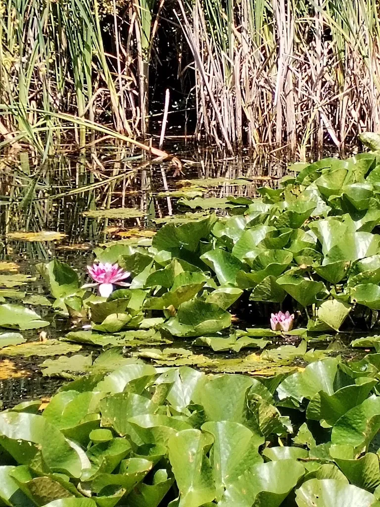 Moorgarten- Café, Gastro, Biergarten_Hagenburg_slider_image_3