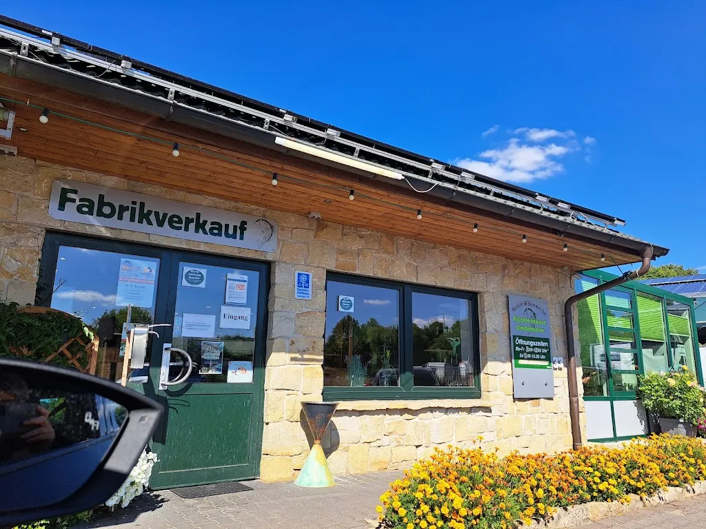 Fischfeinkost Lindemann GmbH restaurant in Hagenburg