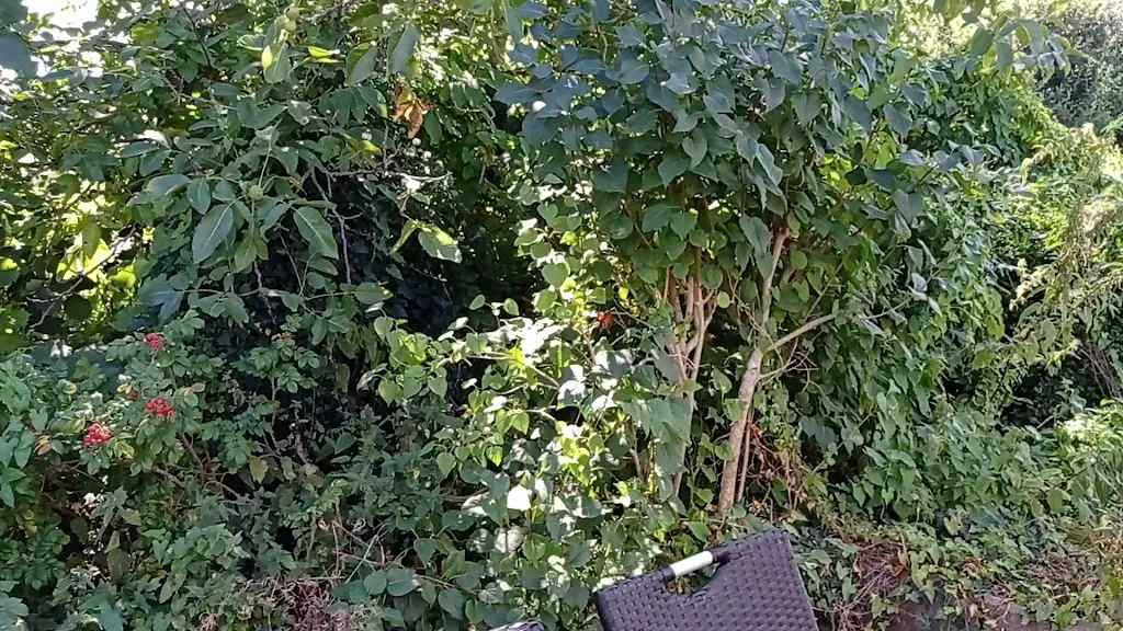 Ankerplatz_Hagenburg_slider_image_2