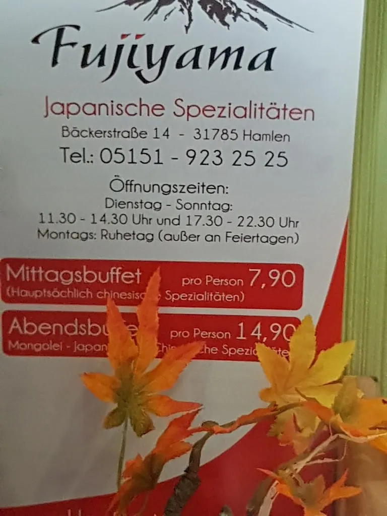Menü_Fujiyama_Hameln_Bild_2