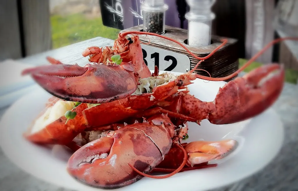 Menu_De Rietschans_Netherlands_immagine_9