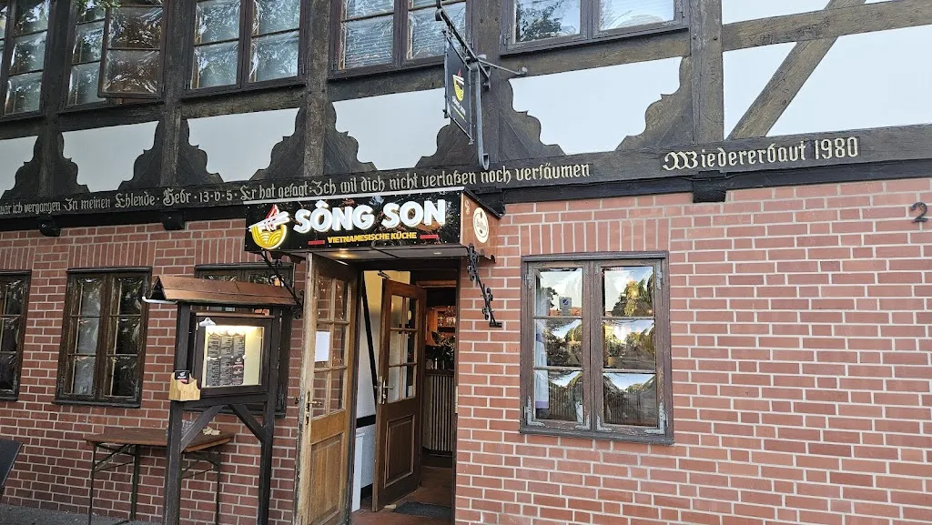 A. S._Sông Son Restaurant - Vietnamesische Küche_Salzgitter_reseña