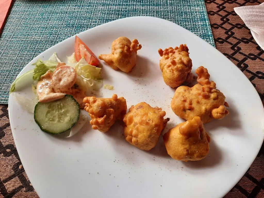 Menu_Taj Mahal Restaurant & Pizzaservice_Heidenau_image_9