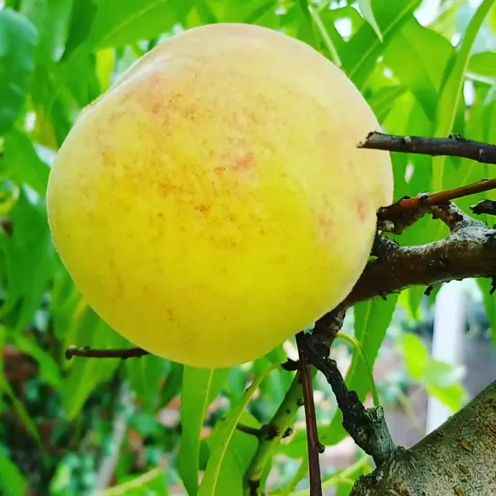 Vous lé Vous_Belgium_slider_image_1