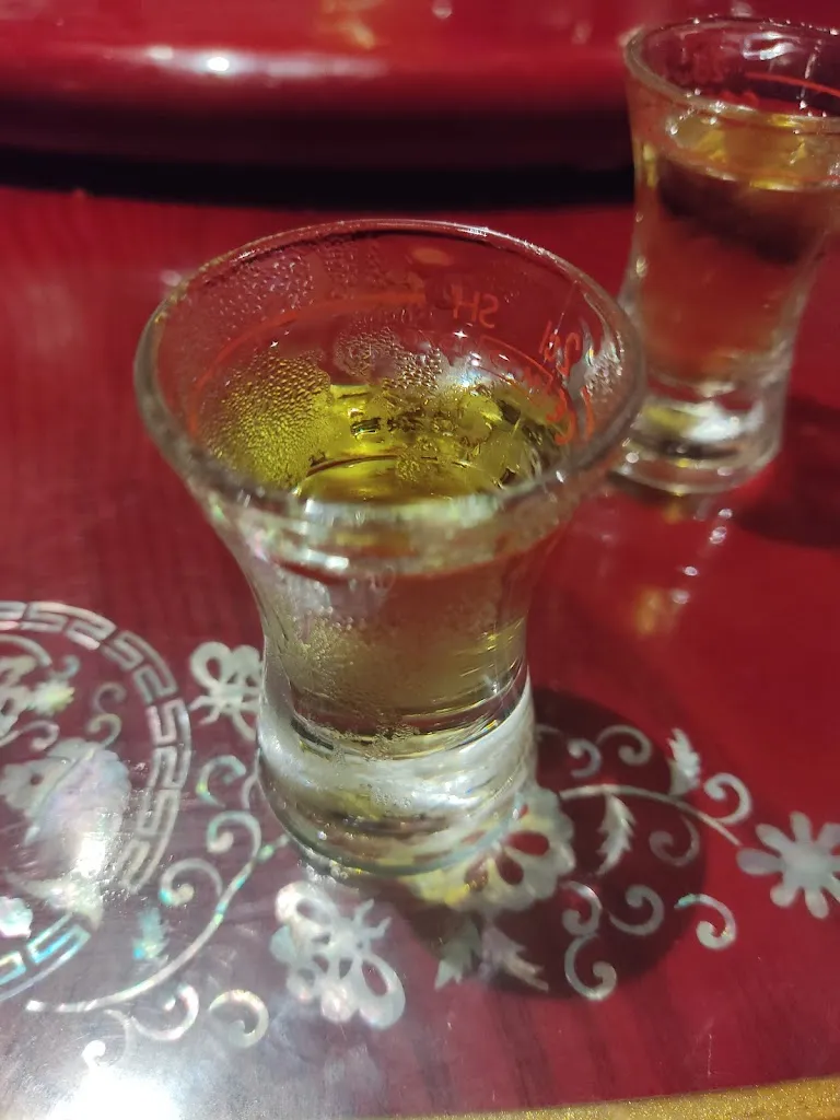 Menu_Cao-Hotel-Restaurant_Hemmingen_immagine_6