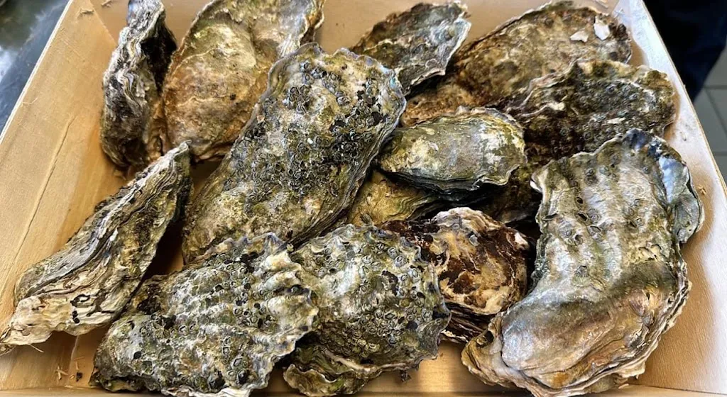 Menu_Biondi Eiscafé & Restaurant_Hatten_image_4