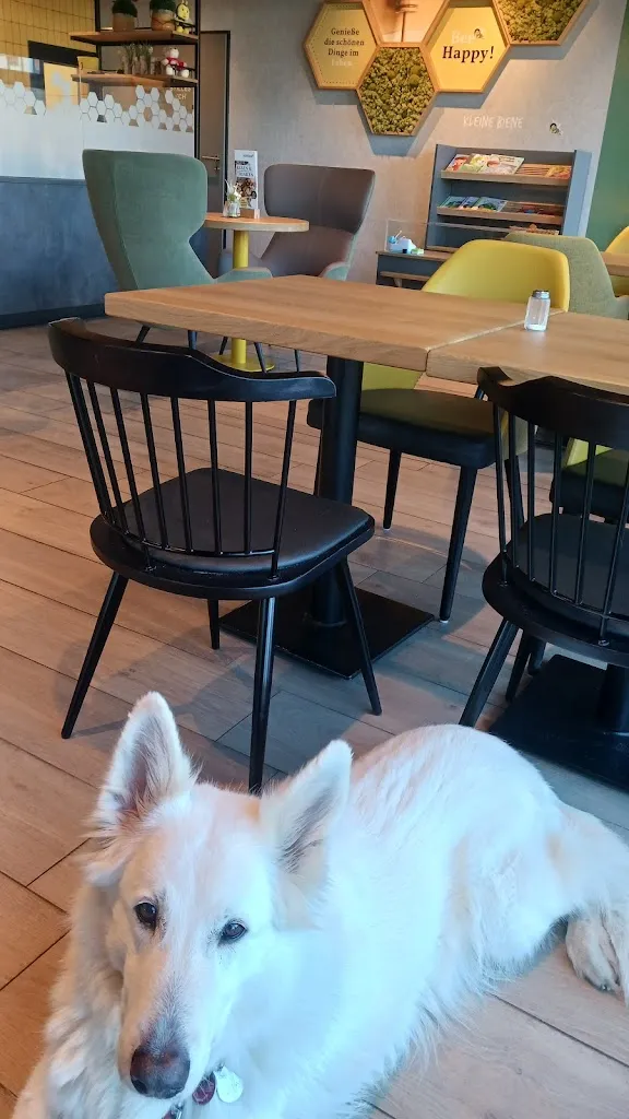 Wolfgang Otten_Biener Landbäckerei Wintering - Café in Herzlake (‚Im Mersch')_Herzlake_review