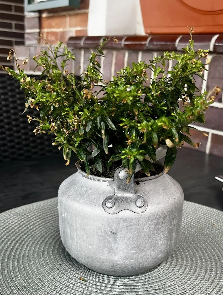 Pixel Maler_Restaurant Altes Fährhaus_Jemgum_review