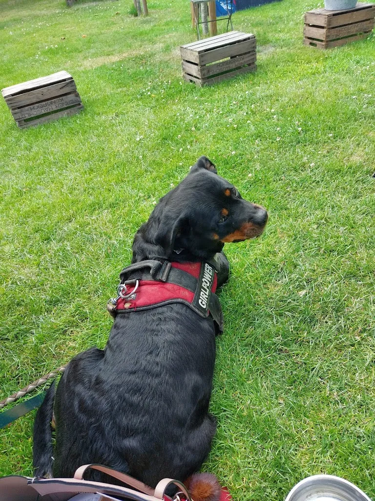 Jenny Reggel_Restaurant Hintze_Jork_review