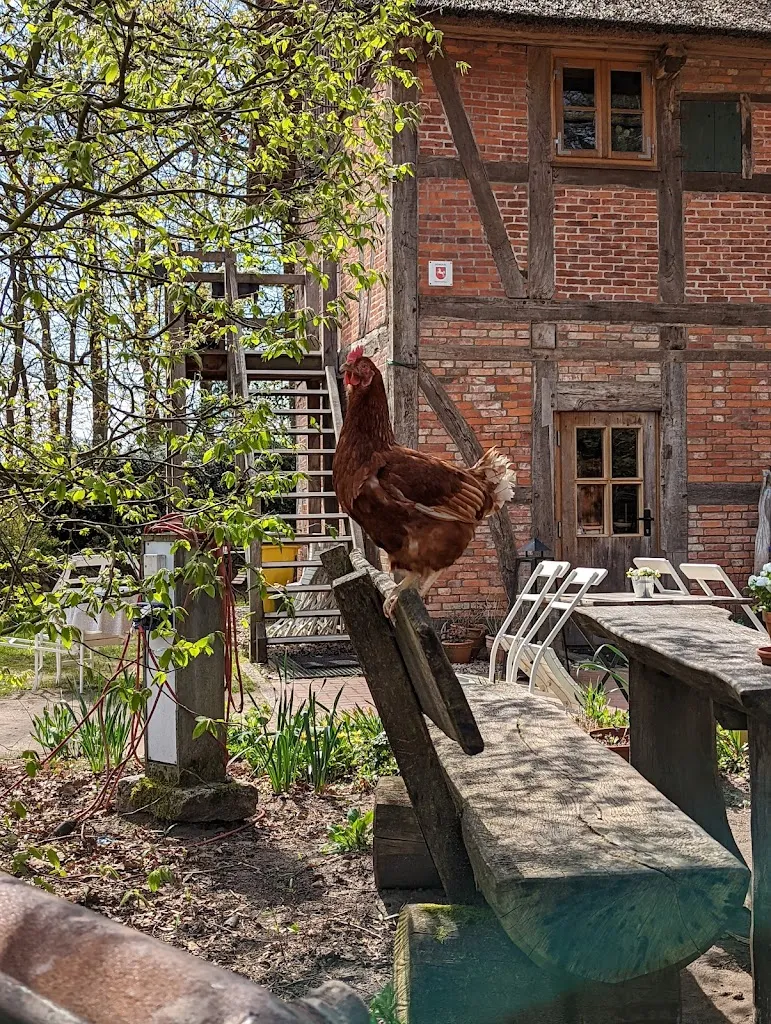 Hofcafe_Jesteburg_slider_image_1