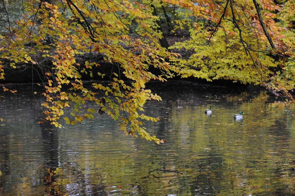 Dorfkrug am Mühlenteich_Jesteburg_slider_image_3