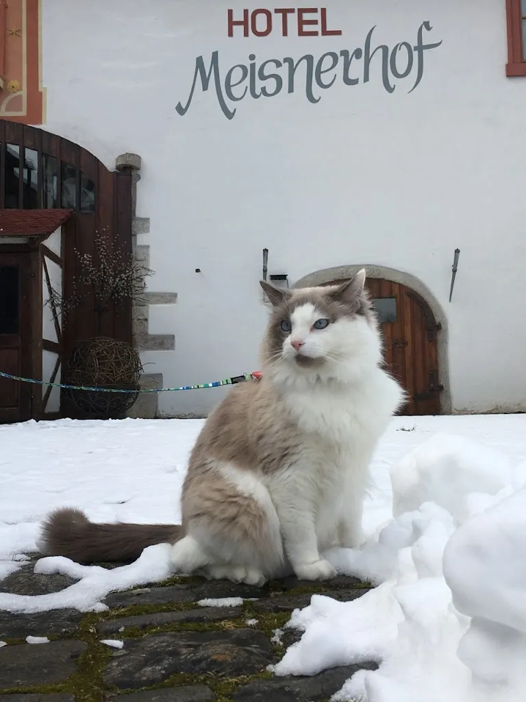 bonosbones_MEISNERHOF Hotel Restaurant Biergarten_Erlabrunn_review