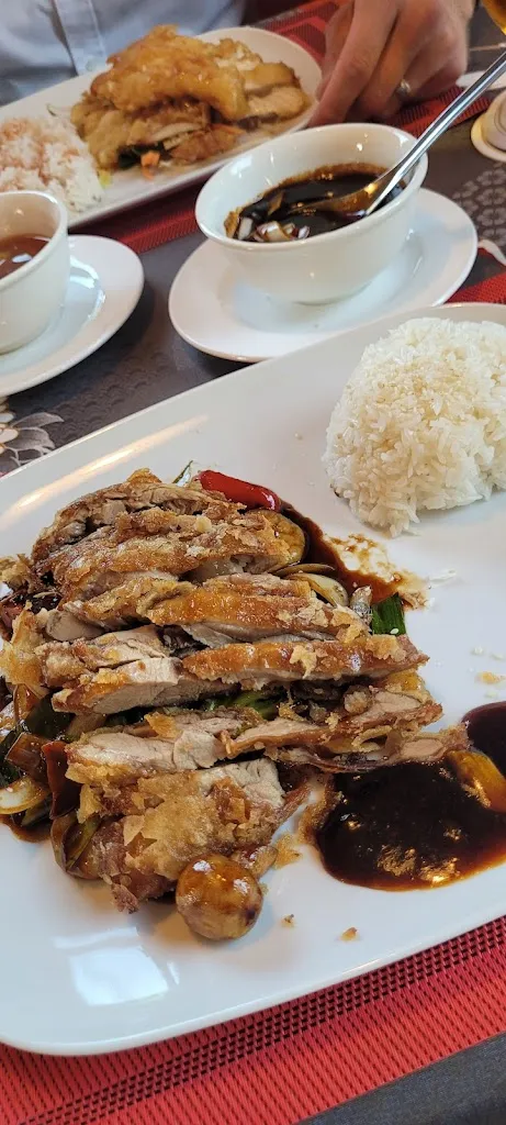 Menu_Asia Restaurant Long Asia_Lachendorf_immagine_6