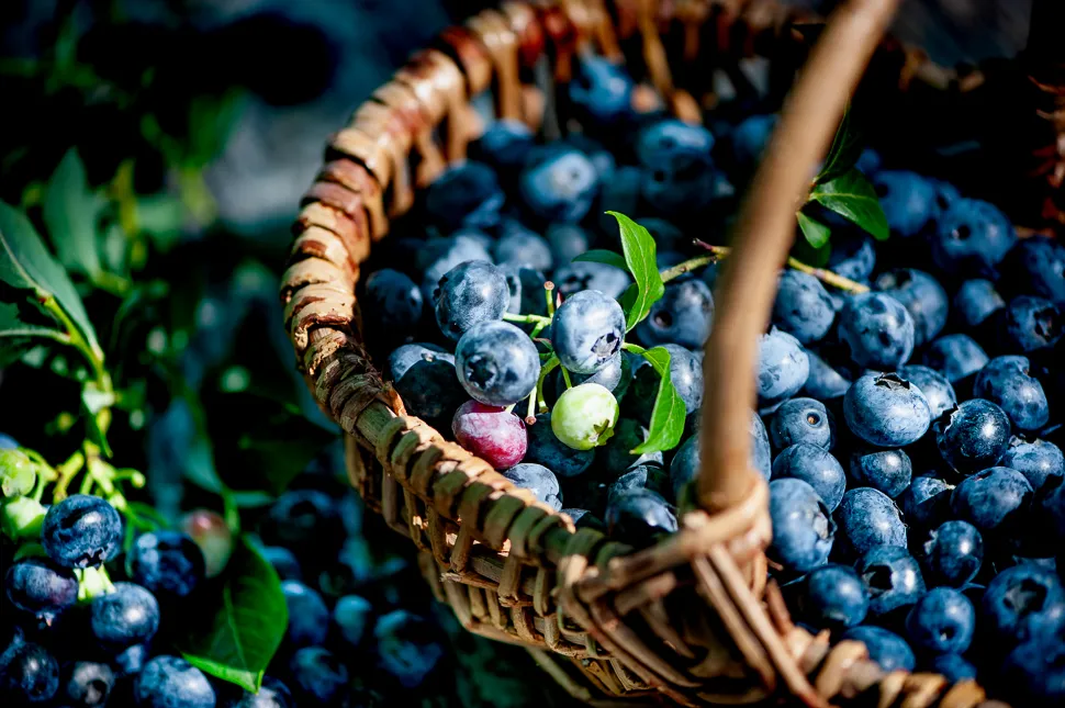 Bickbeernhof_Landesbergen_slider_image_3