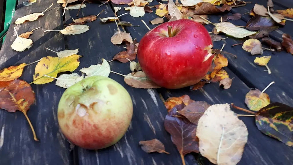 Menu_Forsthaus Blumenhagen_Lauenau_image_6