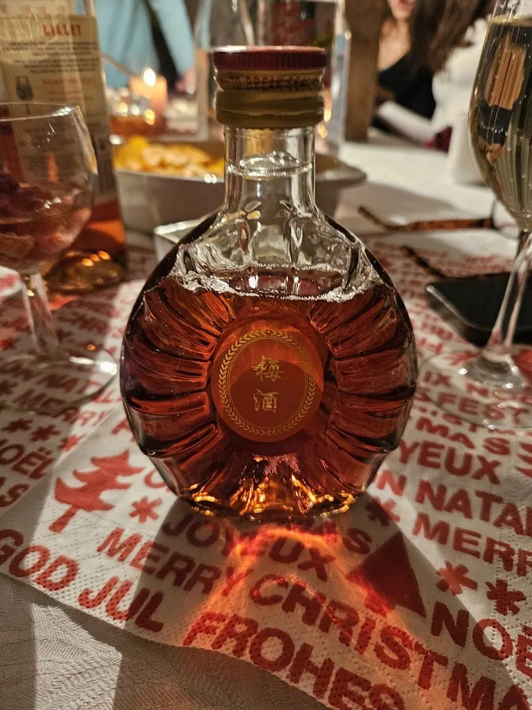 Peter Strages_Asia-Regent_Laatzen_review