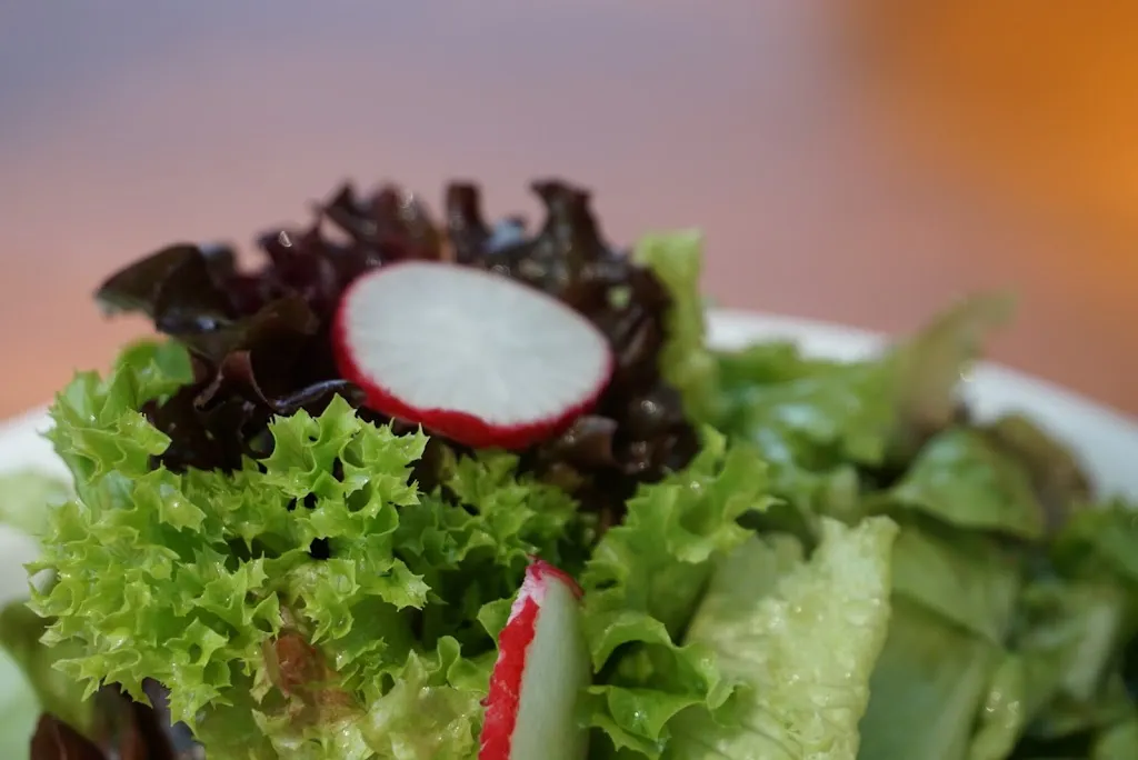 Helmut Stadlinger_Zur Stadt Bad Windsheim_Erlbach_review