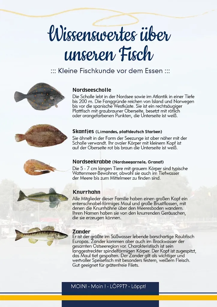 Menu_Haus Hamburg_(Ostfriesland)_image_4