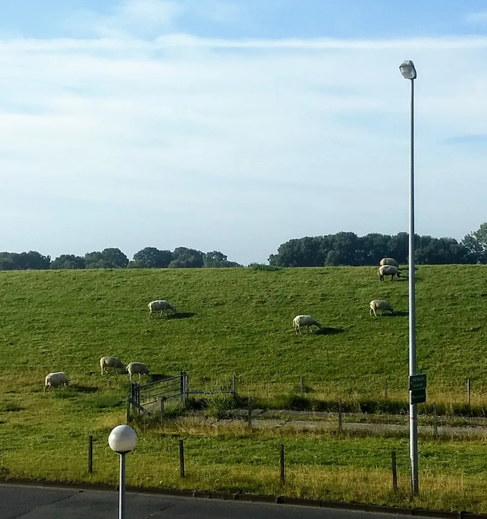 Sara Schlagenhauff_Hotel Ostfriesen Hof_(Ostfriesland)_recensione