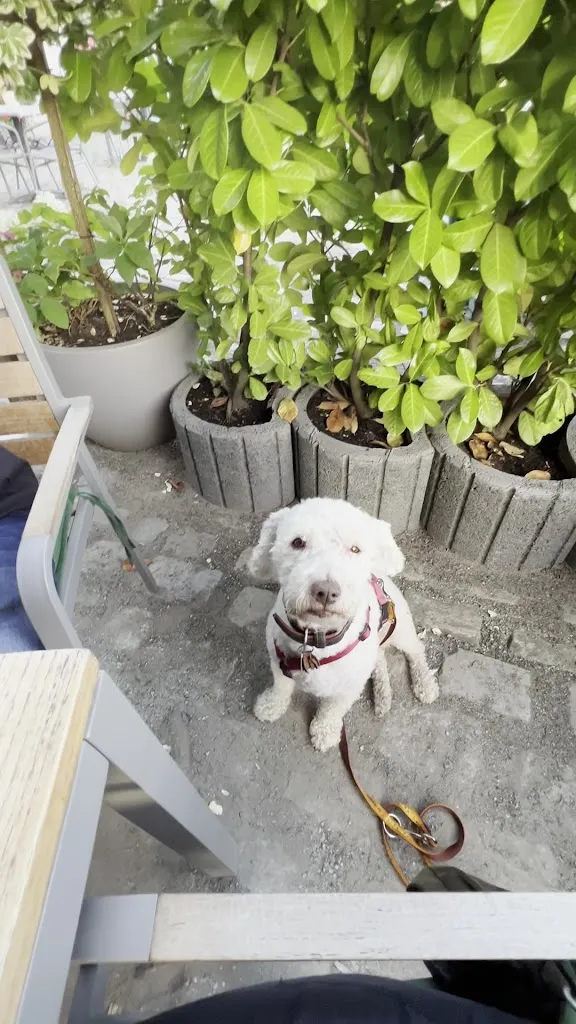 Restaurant „Alter Amtsturm“_Lübz_slider_image_2