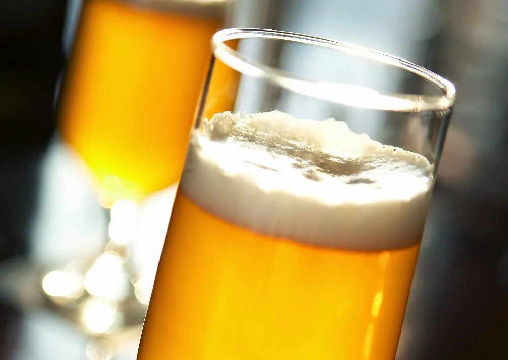 Menu_Gasthof Thünemann_Messingen_immagine_2