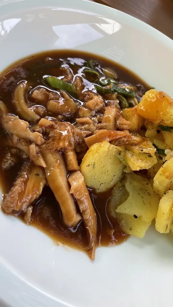 Petra D._Adler_Erlenbach_recensione