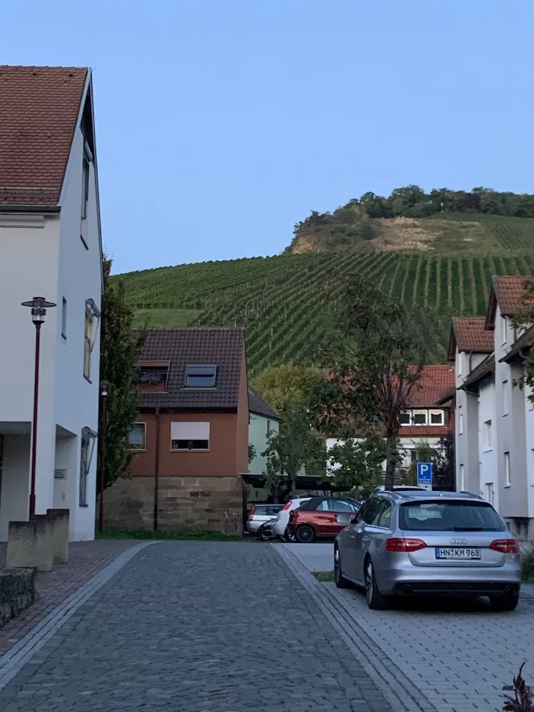 Adler_Erlenbach_slider_image_3