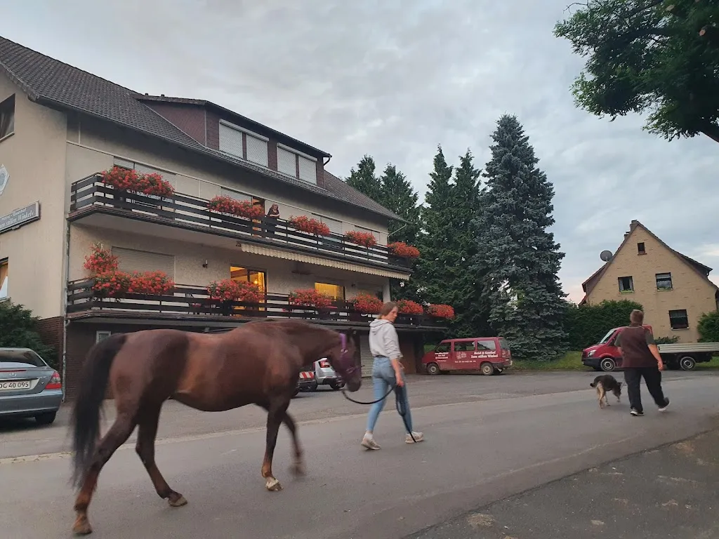 Hotel Zum stillen Winkel ristorante a Moringen
