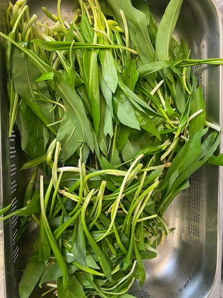 Menu_Restaurant Hotel Altes Landhaus__immagine_5