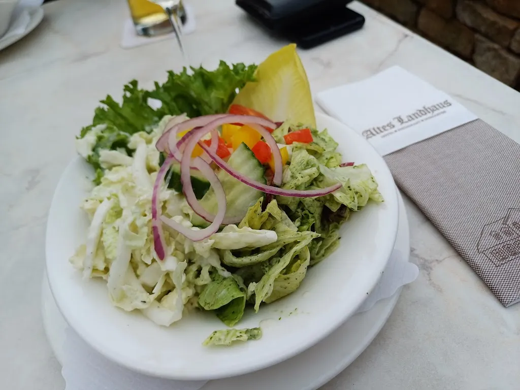 Menu_Restaurant Hotel Altes Landhaus__immagine_6