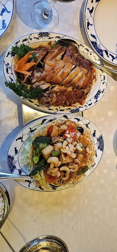 amrita pritam_China-Restaurant Chan_Ergolding_review