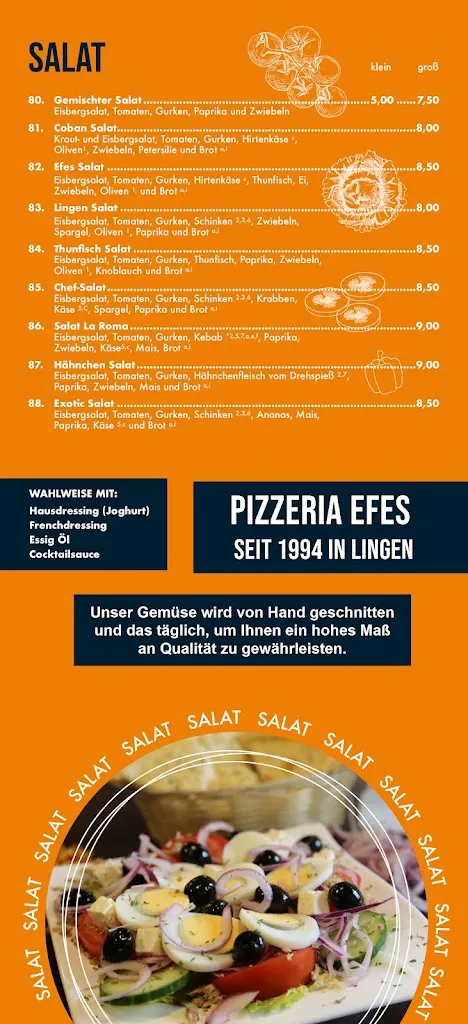 Menu_Pizzeria Efes_(Ems)_immagine_2