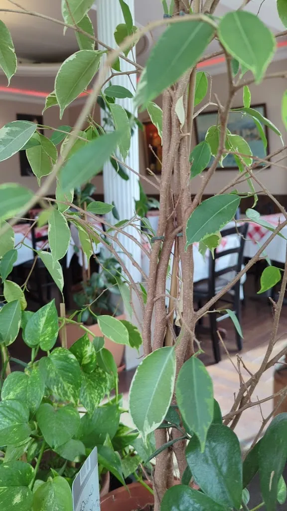 Ristorante Mangia Bene_Wulmstorf_slider_image_2